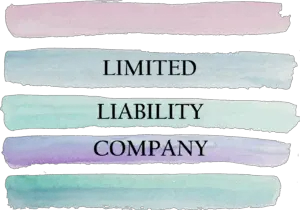 Limited Liability Company Definition, Formation and Types