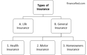 2 Main Types of Insurance