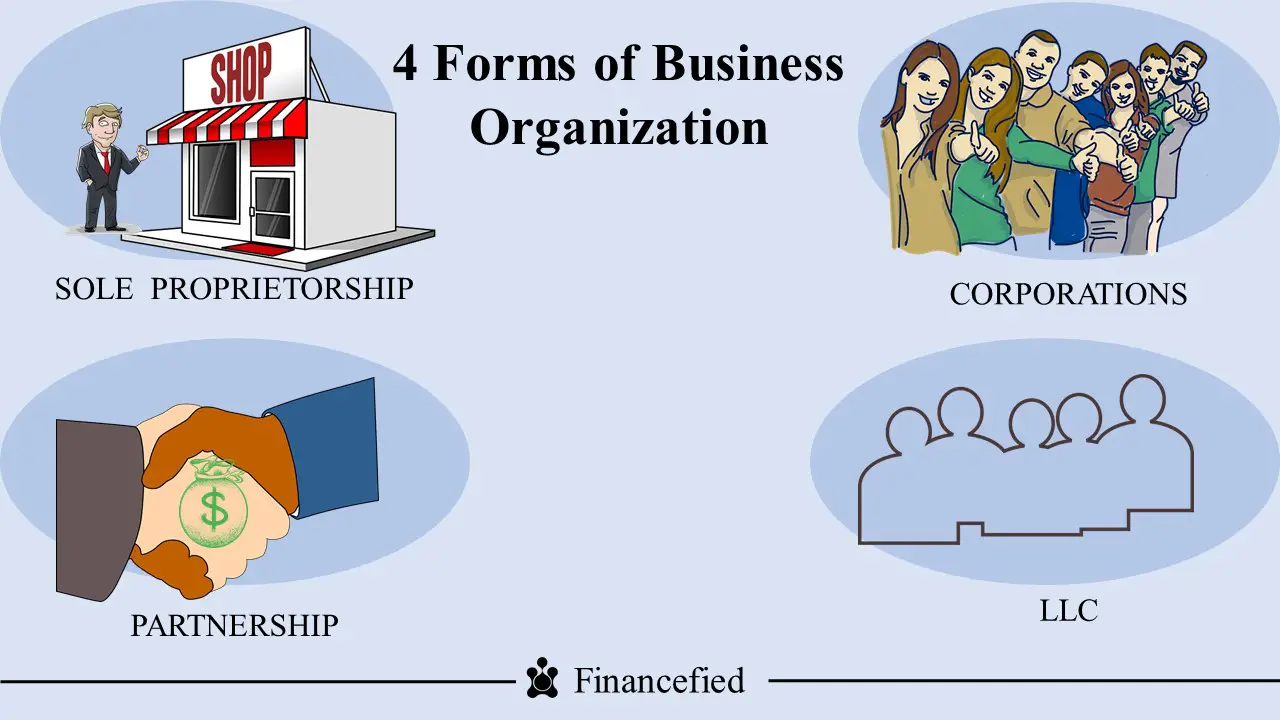 case study on forms of business organization