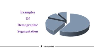 Demographic Segmentation Example